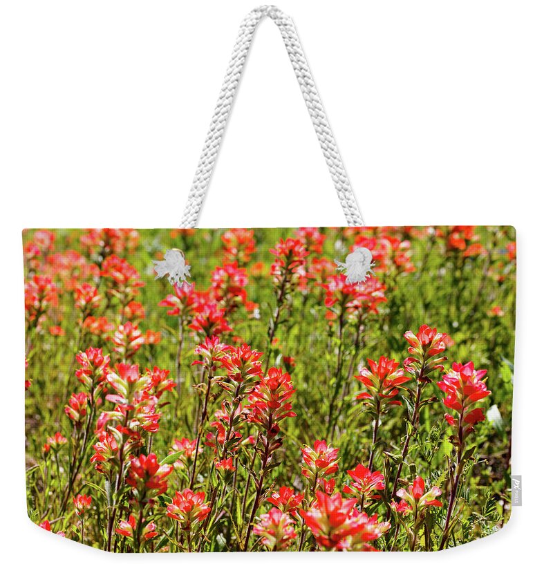 Austin Weekender Tote Bag featuring the photograph Red Texas Wildflowers by Raul Rodriguez