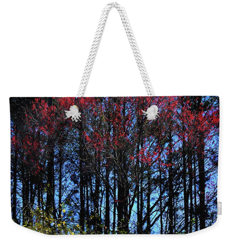 Nature Weekender Tote Bag featuring the photograph Red Tip Spring by Skip Willits