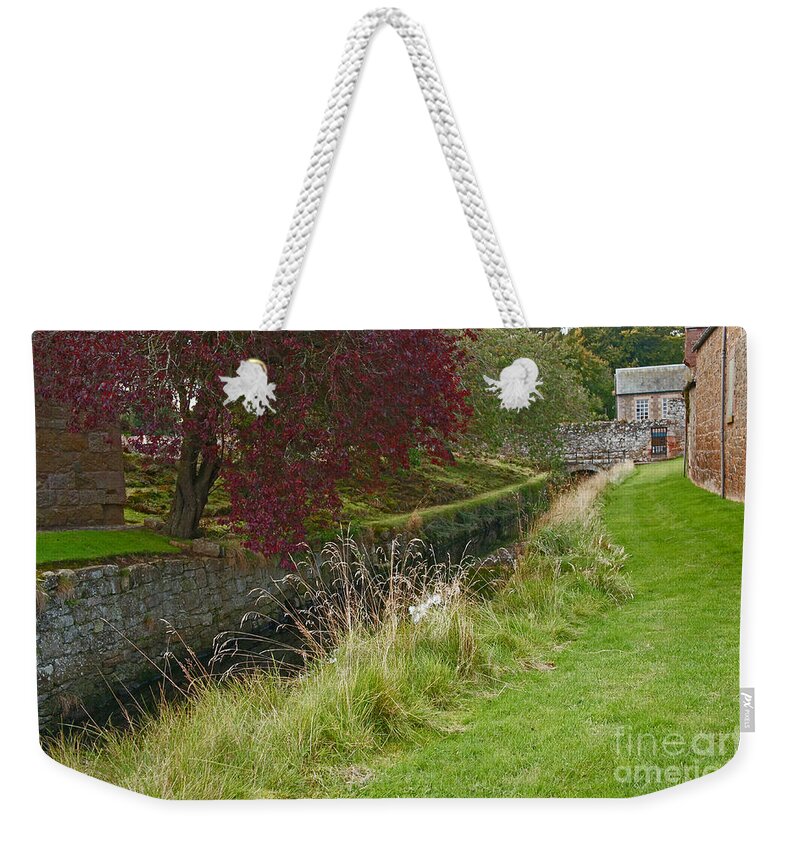 Red Tree Weekender Tote Bag featuring the photograph Red Tree at the old water duct by Elena Perelman
