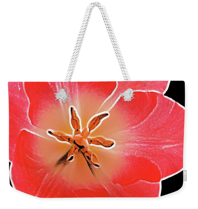 Flower Weekender Tote Bag featuring the photograph Red Tulip by Charles Muhle