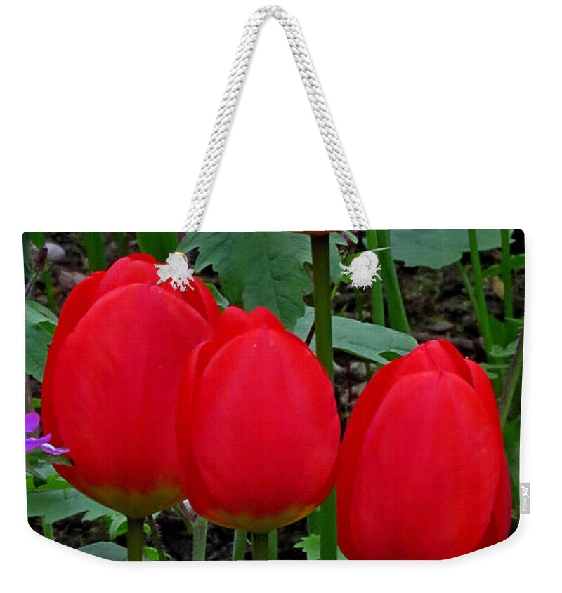 Tulips Weekender Tote Bag featuring the photograph Red Tulips by John Topman