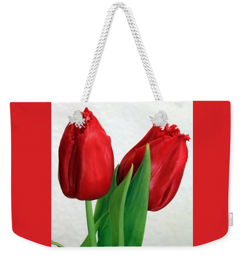 Nature Weekender Tote Bag featuring the photograph Red Tulips on White by Sheila Brown