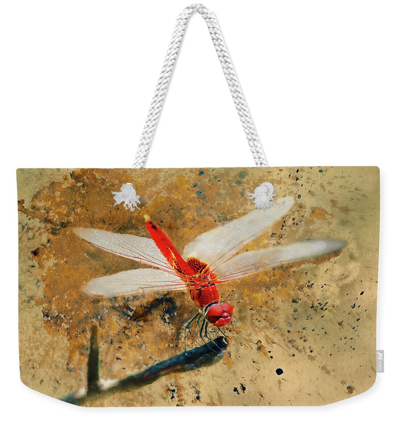 Red Veined Darter Dragonfly Weekender Tote Bag featuring the photograph Red Veined Darter Dragonfly by Bellesouth Studio