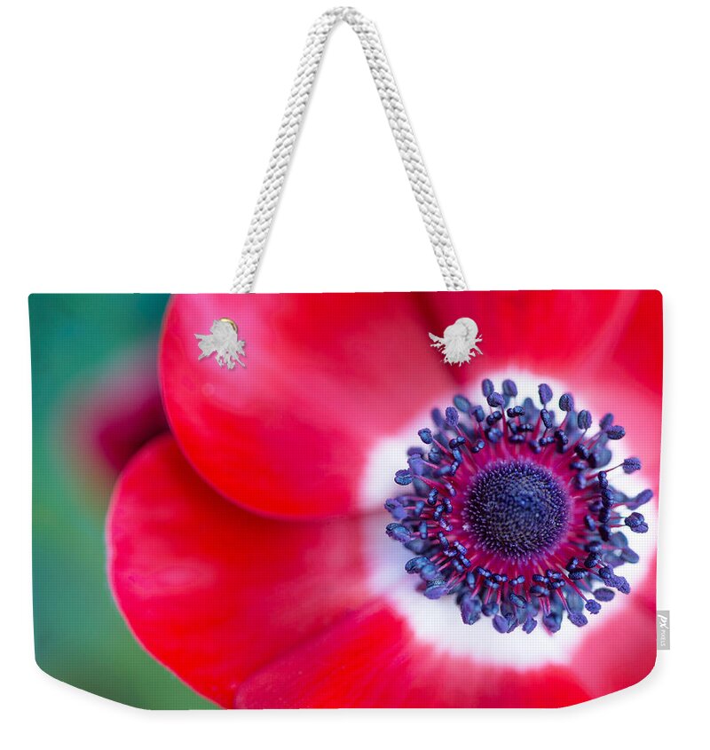 Anemone Weekender Tote Bag featuring the photograph Red White Blue Anemone by Rebecca Cozart