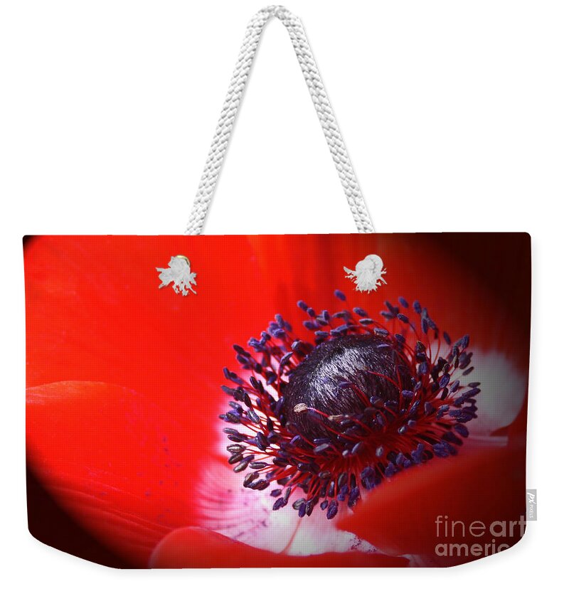 Wall Art Weekender Tote Bag featuring the photograph Red Windflower by Kelly Holm