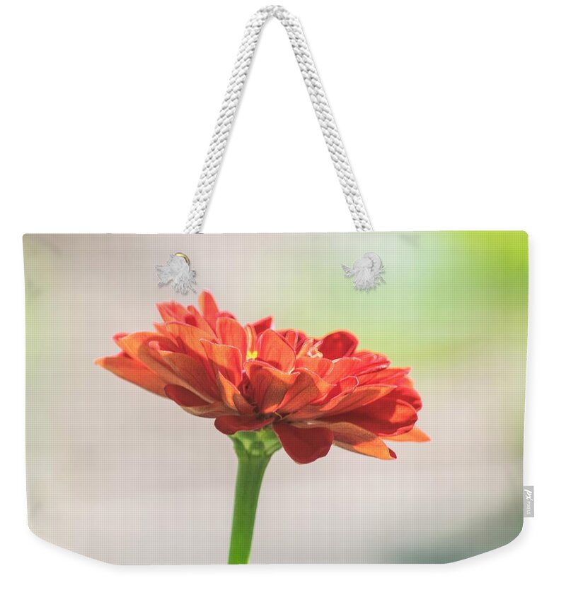 Red Zinnia Weekender Tote Bag featuring the photograph Red Zinnia Macro by Mary Ann Artz