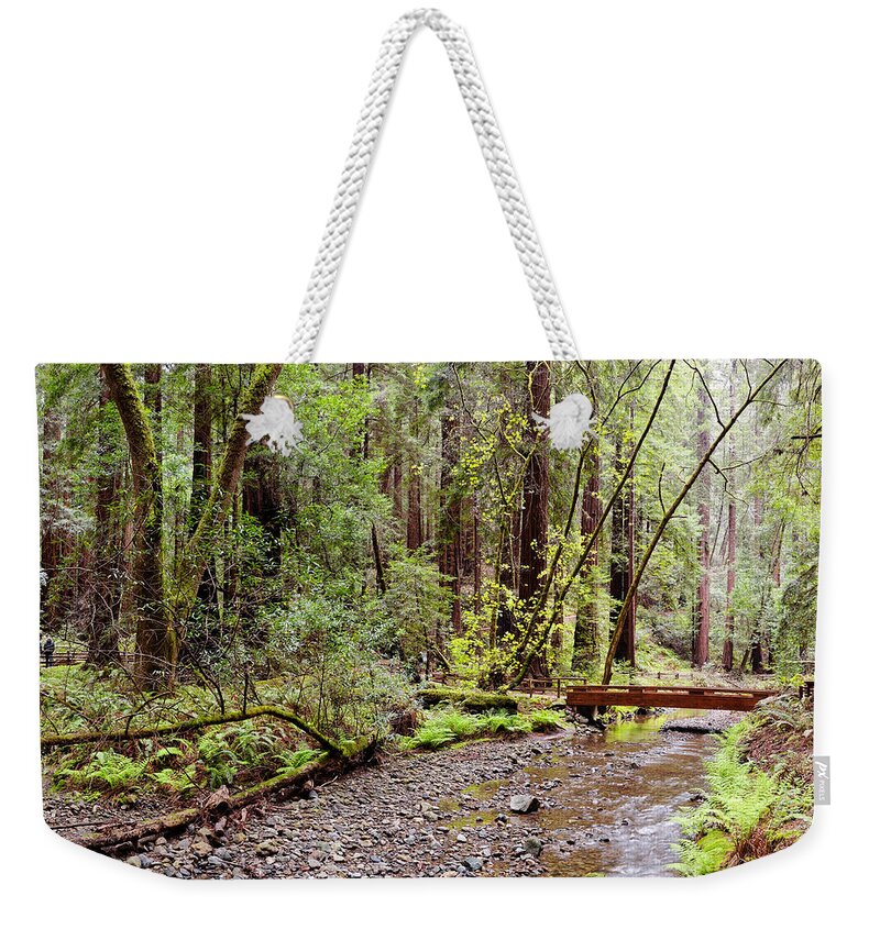 John Weekender Tote Bag featuring the photograph Redwood Creek Flowing through Muir Woods National Monument - Mill Valley Marin County California by Silvio Ligutti