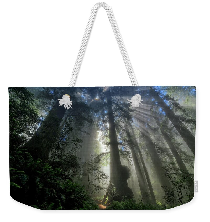 Redwood National Park Weekender Tote Bag featuring the photograph Redwood God Rays by Greg Norrell