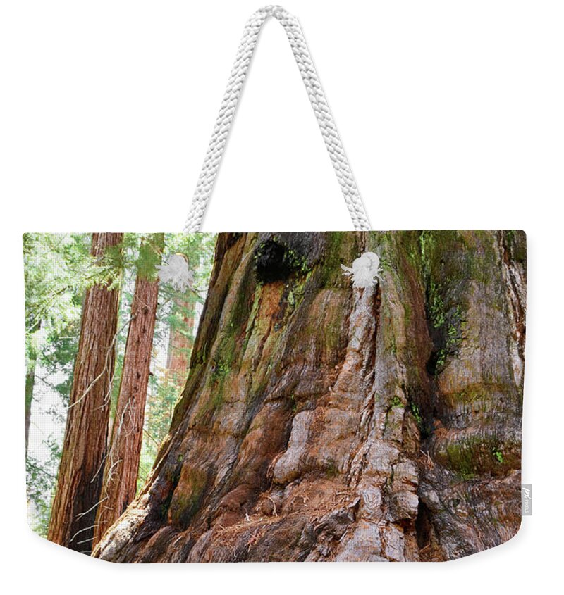 Sequoia National Park Weekender Tote Bag featuring the photograph Redwood Mountain Grove Giant Sequoia Portrait by Kyle Hanson