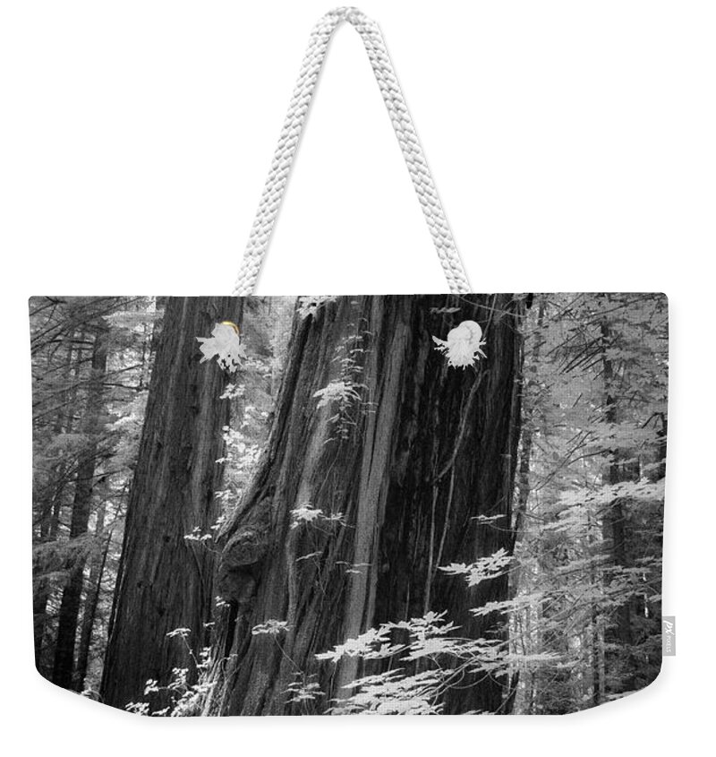 California Weekender Tote Bag featuring the photograph Redwood Trunk by Craig J Satterlee