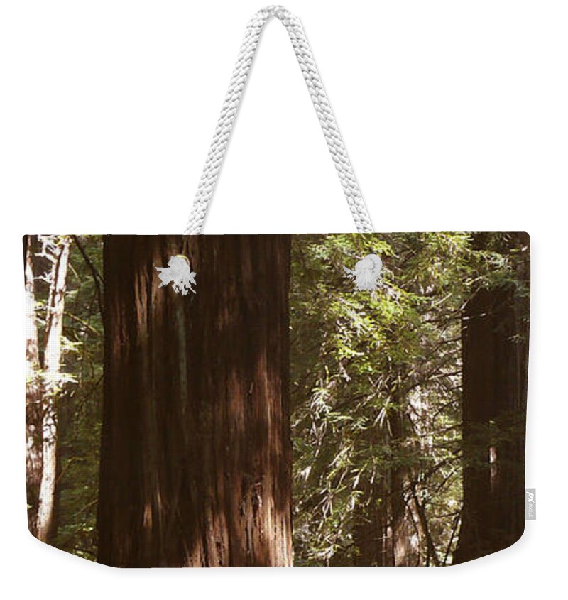 Redwood Tree Weekender Tote Bag featuring the photograph Redwoods by Mike McGlothlen