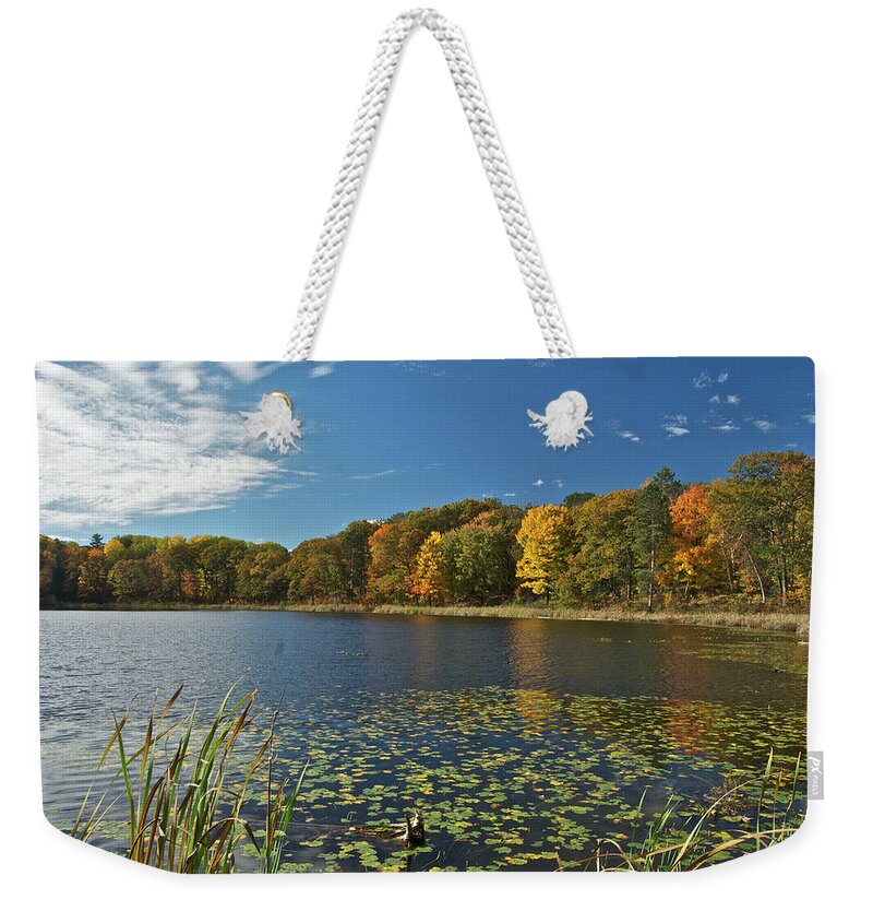 Lake Weekender Tote Bag featuring the photograph Reed Lake 0162 by Michael Peychich