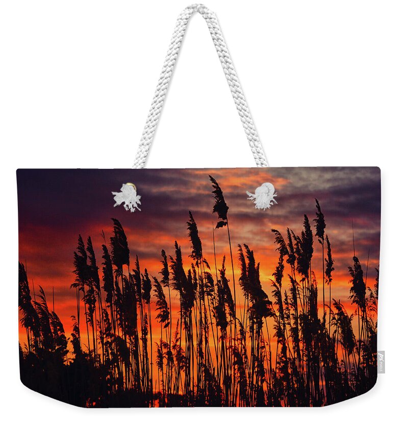 Reeds At Sunset Weekender Tote Bag featuring the photograph Reeds at Sunset by Raymond Salani III