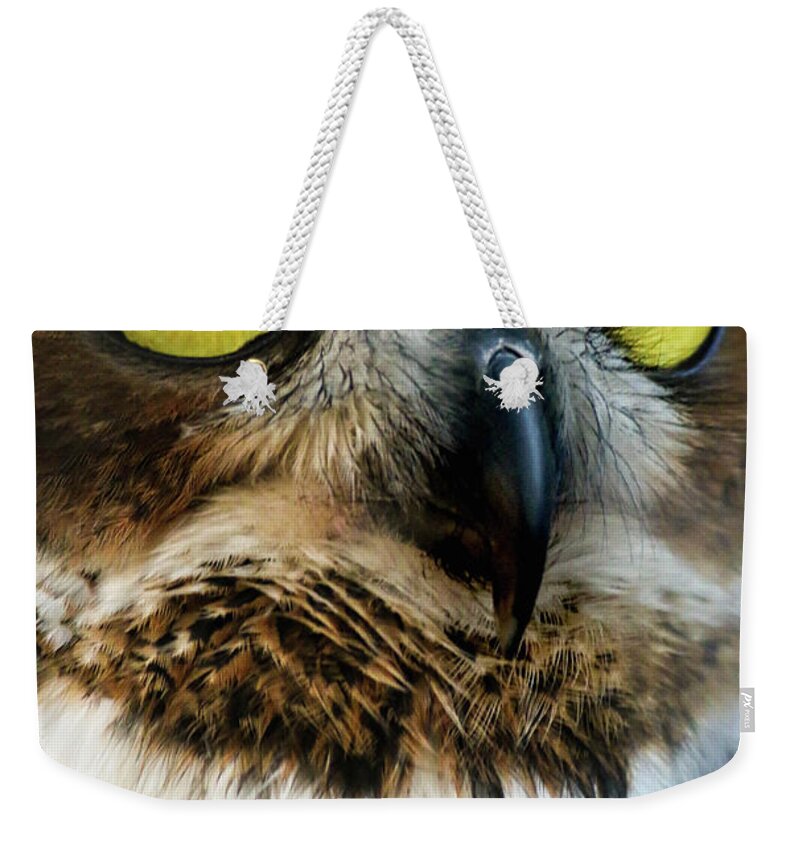 Owls Weekender Tote Bag featuring the photograph Reelfoot Lake Owls by Veronica Batterson
