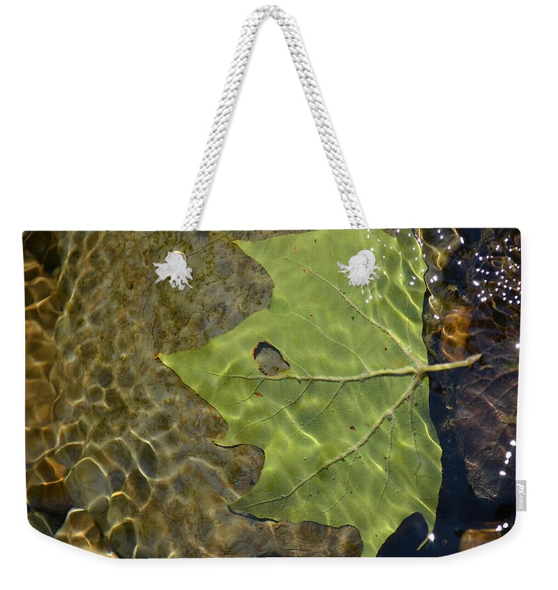 Leaf Weekender Tote Bag featuring the photograph Reflected Indignation by Char Szabo-Perricelli