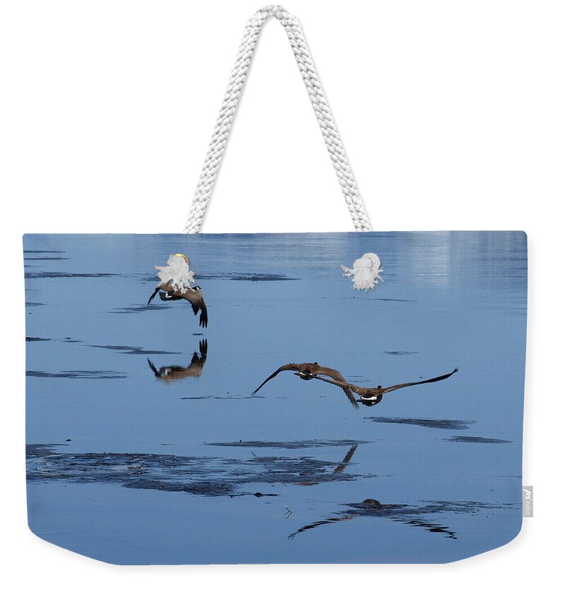 Birds Weekender Tote Bag featuring the photograph Reflecting Geese by DeeLon Merritt