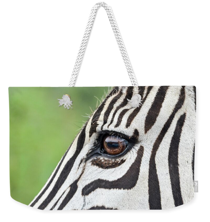 Zebra Weekender Tote Bag featuring the photograph Reflection in a zebra eye by Gaelyn Olmsted
