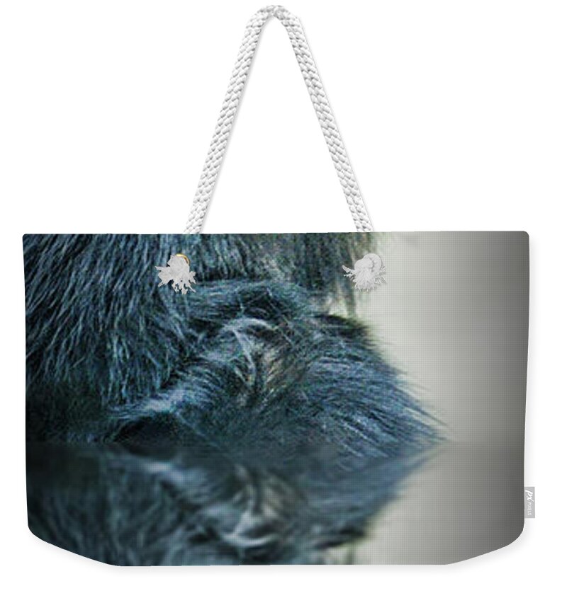 Francois Langur Monkey Weekender Tote Bag featuring the photograph Reflection of a Francois Langur Monkey by Jim Fitzpatrick