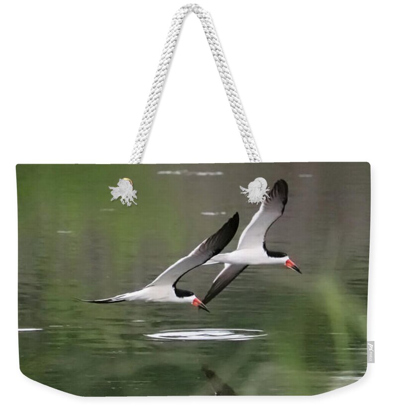 Bird Weekender Tote Bag featuring the photograph Reflection of Skimmers over the Pond by Carol Groenen