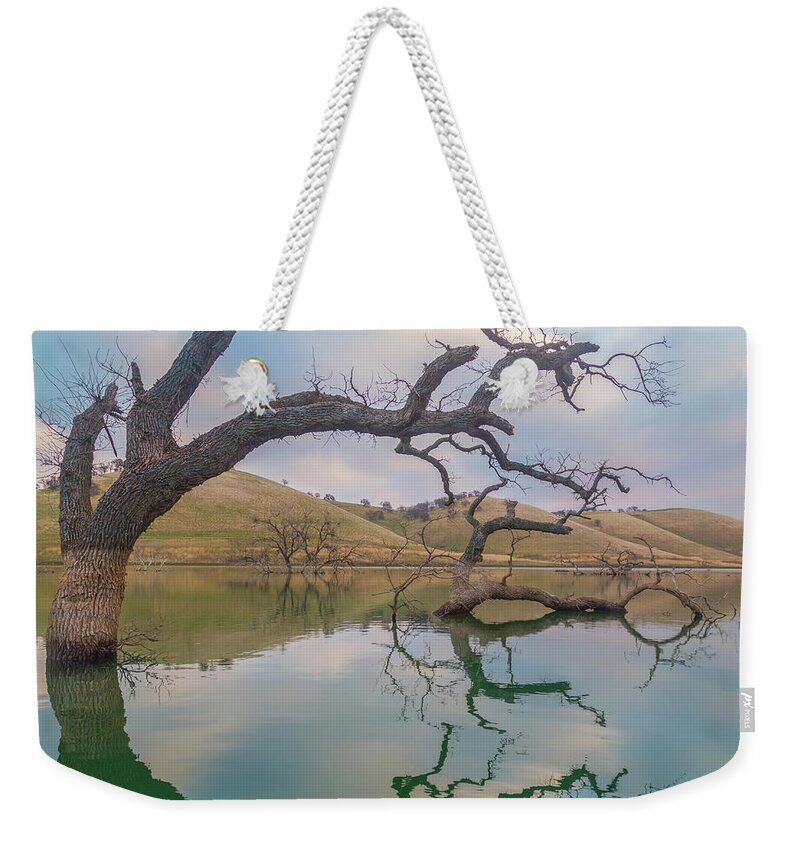 Landscape Weekender Tote Bag featuring the photograph Reflections at Los Vaqueros by Marc Crumpler