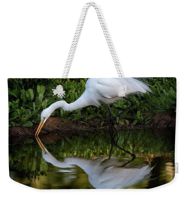 Bird Weekender Tote Bag featuring the photograph Reflections by Bruce Bonnett