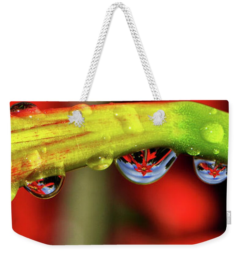 Reflection Weekender Tote Bag featuring the photograph Reflections - Flowers In A Raindrop 001 Panorama by George Bostian