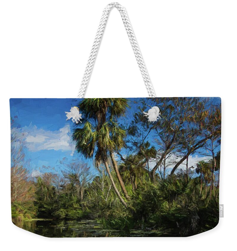 Clouds Weekender Tote Bag featuring the photograph Reflections in the Tropics Oil Painting by Debra and Dave Vanderlaan