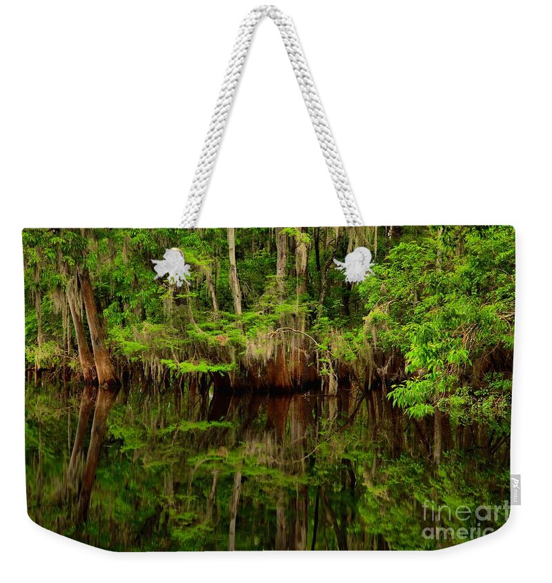 Cypress Weekender Tote Bag featuring the photograph Reflections Near The Suwannee River by Adam Jewell