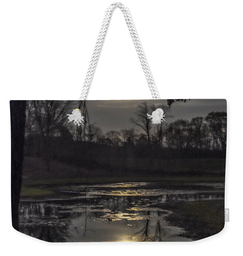 Super Weekender Tote Bag featuring the photograph Reflections of a Super Moon by Lori Ann Thwing