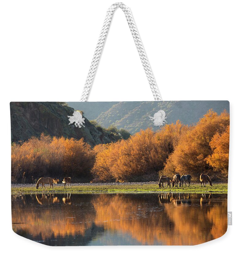 Autumn Weekender Tote Bag featuring the photograph Reflections of Autumn on the Salt River by Sue Cullumber