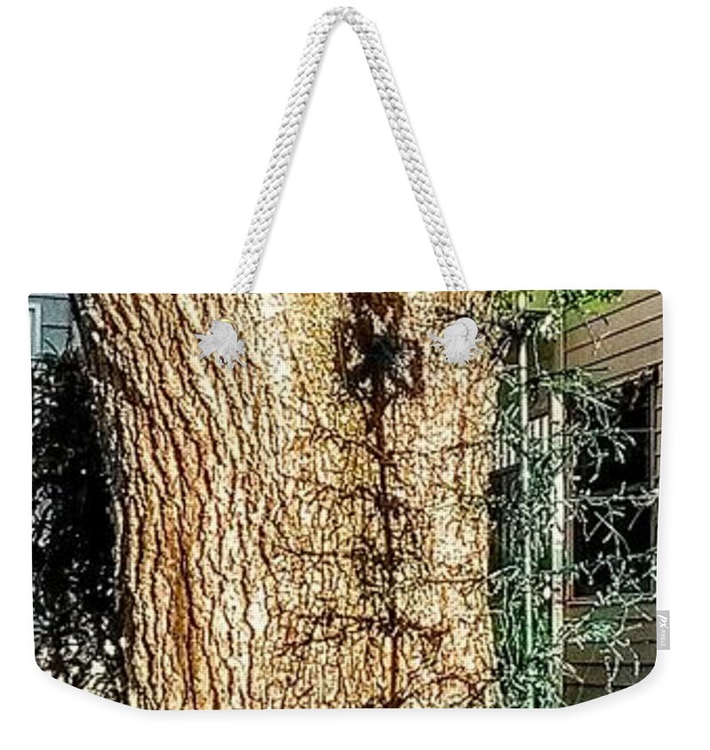 Shamrock Weekender Tote Bag featuring the photograph Reflections by Suzanne Berthier