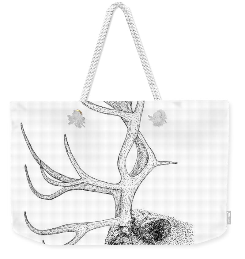 Reindeer Weekender Tote Bag featuring the drawing Reindeer by Scott Woyak