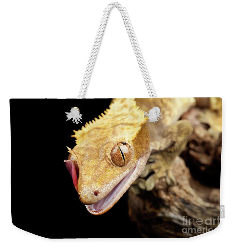 Abstract Weekender Tote Bag featuring the photograph Reptile close up with tongue by Simon Bratt