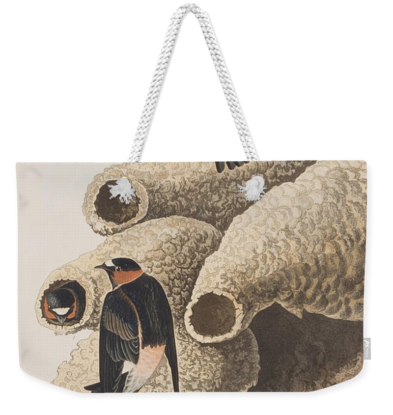 Republican Swallow Weekender Tote Bag featuring the painting Republican or Cliff Swallow by John James Audubon