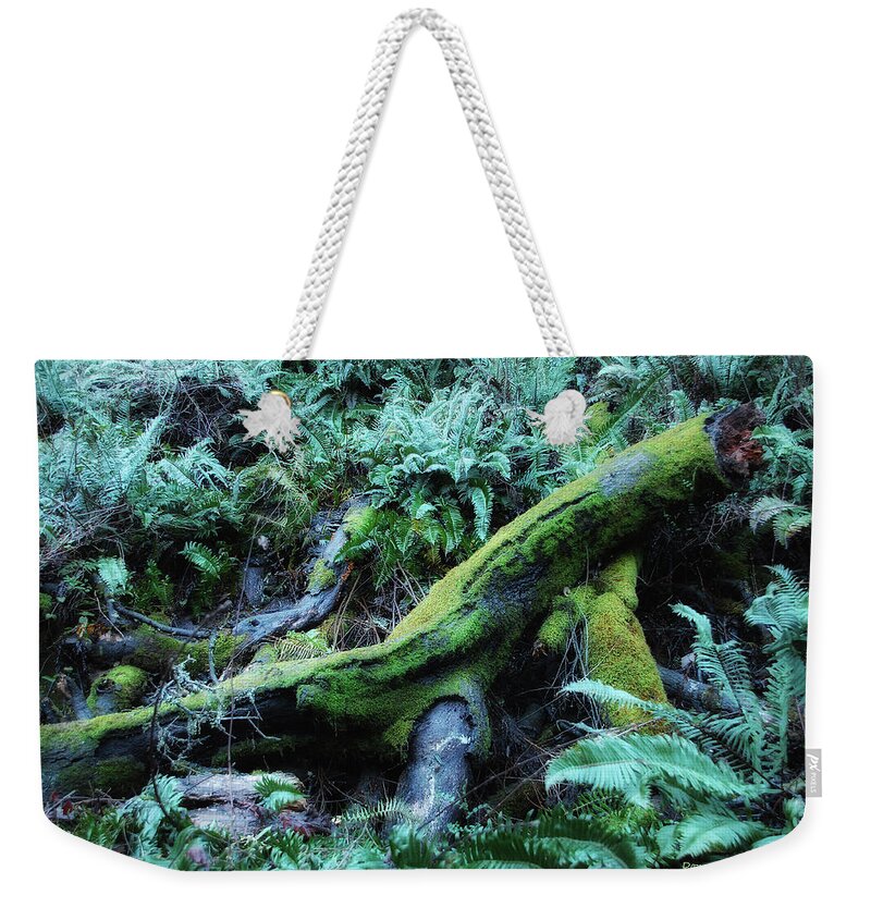 Forest Weekender Tote Bag featuring the photograph Resting Comfortably by Donna Blackhall
