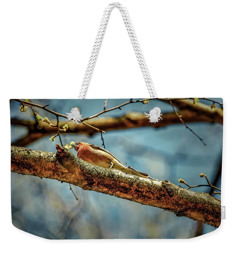 Nature Weekender Tote Bag featuring the photograph Resting #g3 by Leif Sohlman