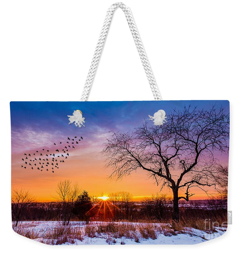 Birds Weekender Tote Bag featuring the photograph Retzer Fly Thru by Andrew Slater