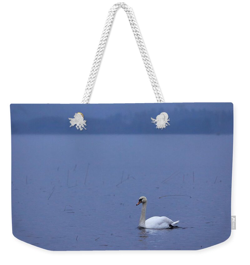 Finland Weekender Tote Bag featuring the photograph Rhapsody in Blue. Mute Swan by Jouko Lehto