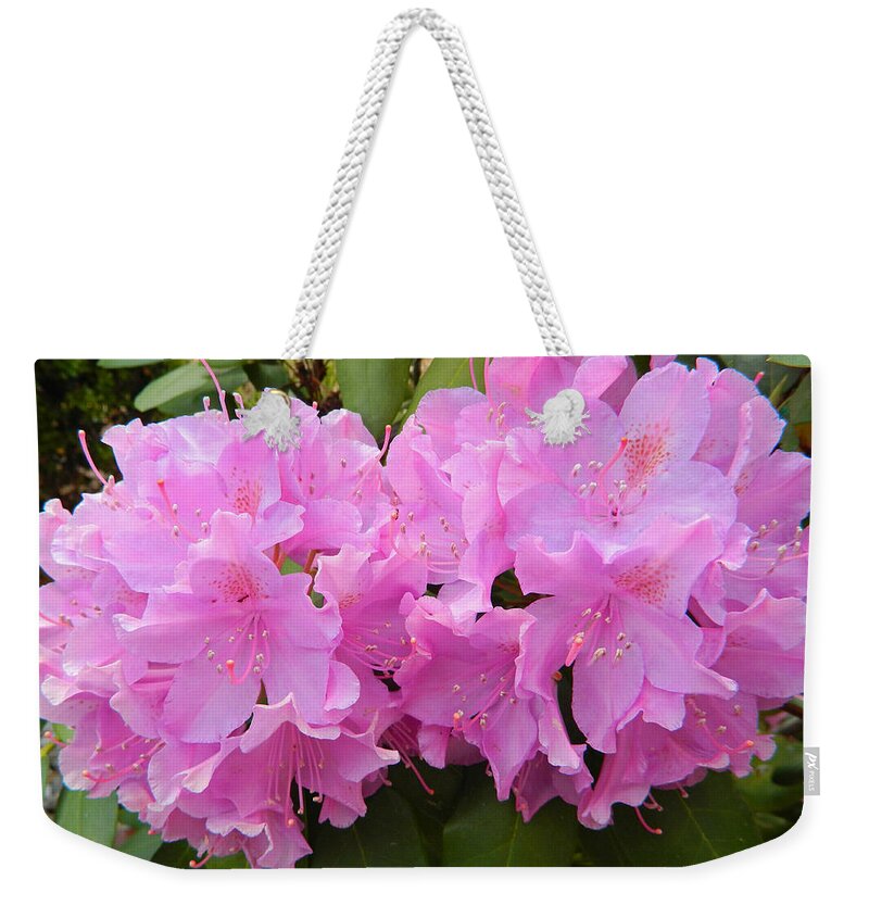 Rhododendron Beauty1 Weekender Tote Bag featuring the photograph Rhododendron Beauty1 by Emmy Marie Vickers