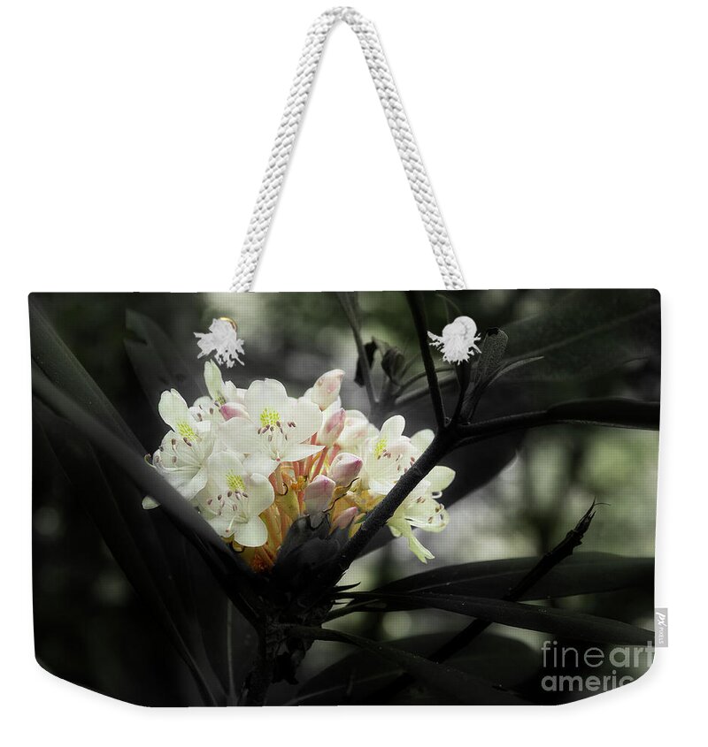 Blooming Rhododendron Weekender Tote Bag featuring the photograph Rhododendron Blooms by Mike Eingle