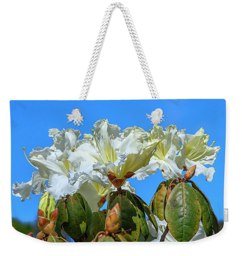 Nature Weekender Tote Bag featuring the photograph Rhododendron ciliicalyx DTHN0213 by Gerry Gantt