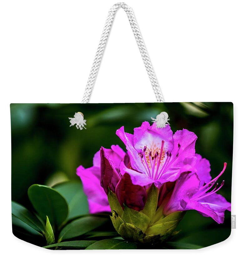 Flower Weekender Tote Bag featuring the digital art Rhododendron by Ed Stines