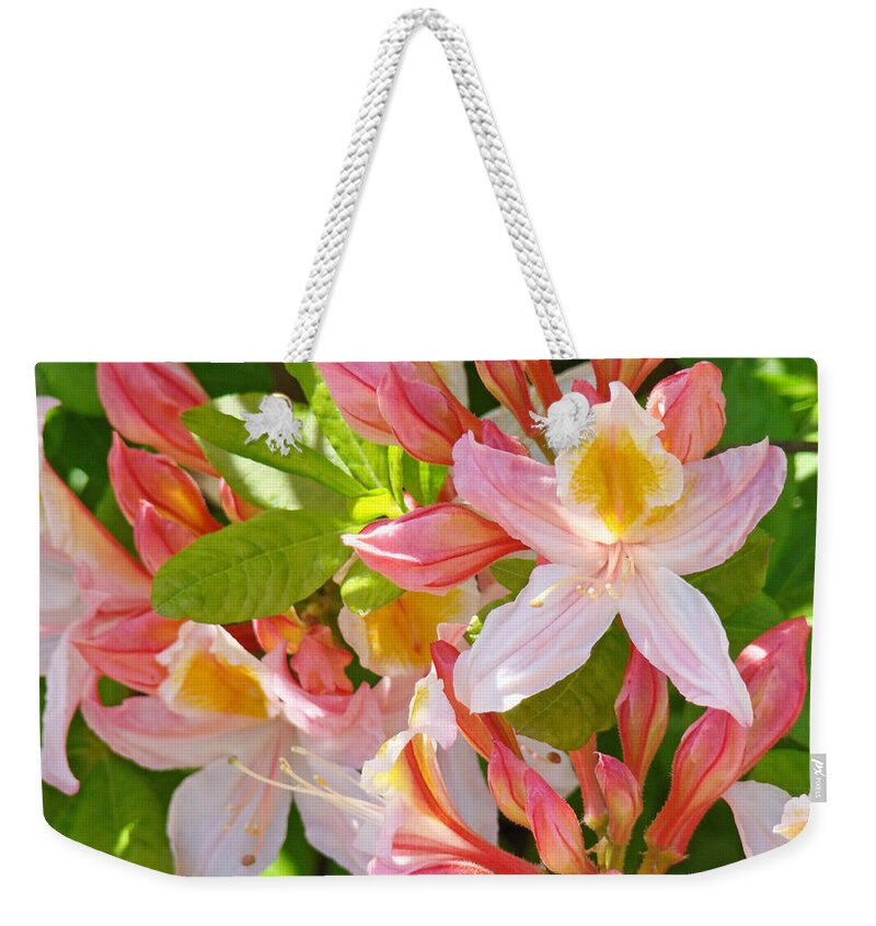 Rhodies Weekender Tote Bag featuring the photograph Rhododendrons Garden Floral art print Pink Rhodies by Patti Baslee