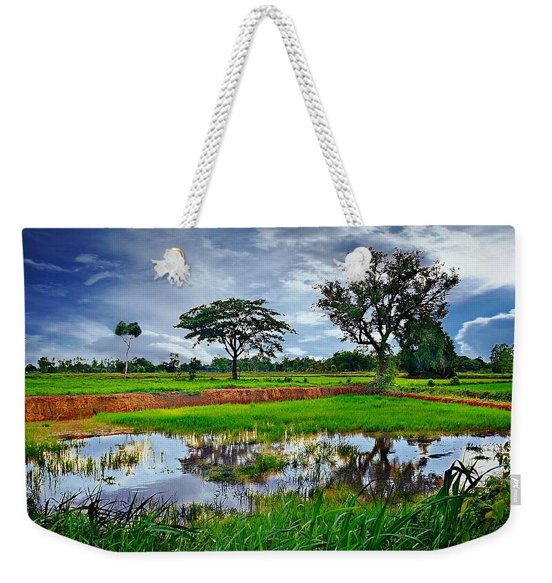Rural Weekender Tote Bag featuring the photograph Rice Paddy View by Ian Gledhill