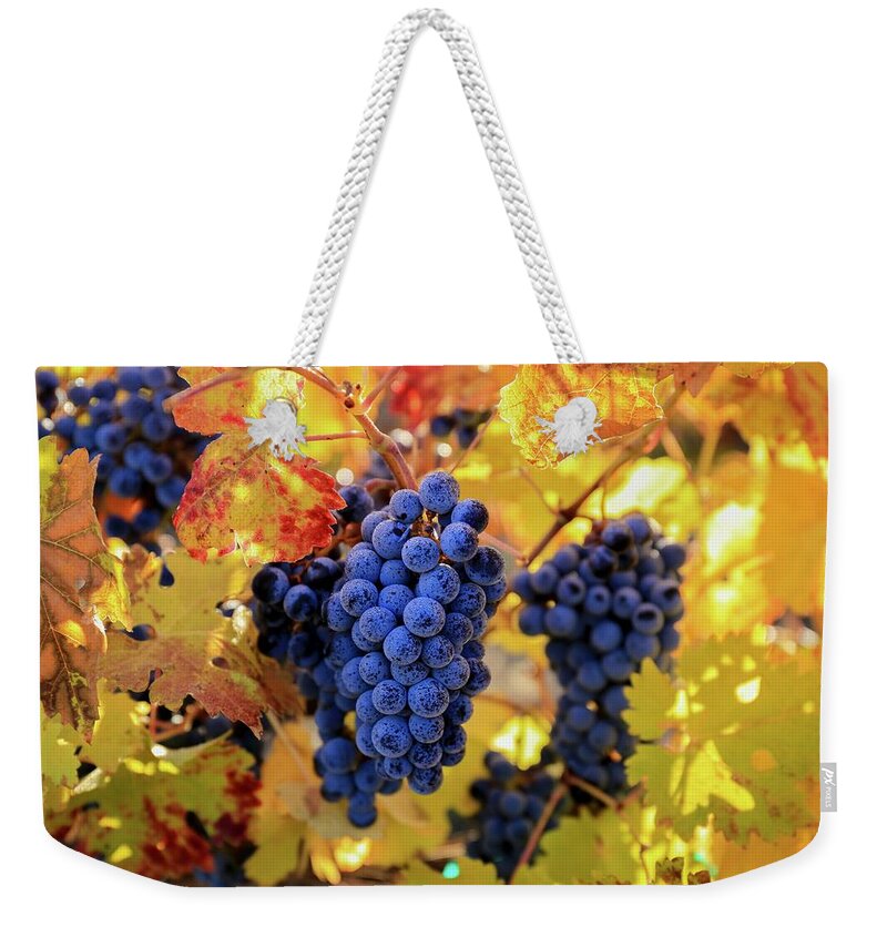 Rich Fall Colors With Grapes Weekender Tote Bag featuring the photograph Rich fall colors with grapes by Lynn Hopwood