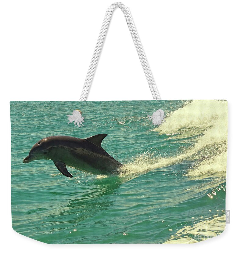 Dolphin Weekender Tote Bag featuring the photograph Ride the Wave by Cassandra Buckley