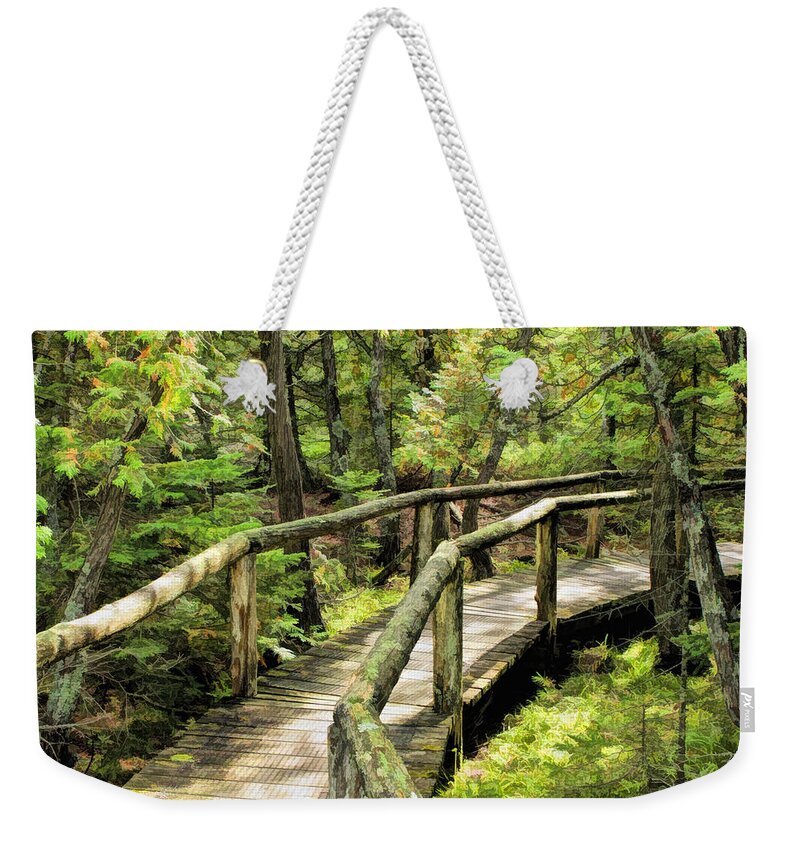 Door County Weekender Tote Bag featuring the painting Ridges Sanctuary Curve by Christopher Arndt
