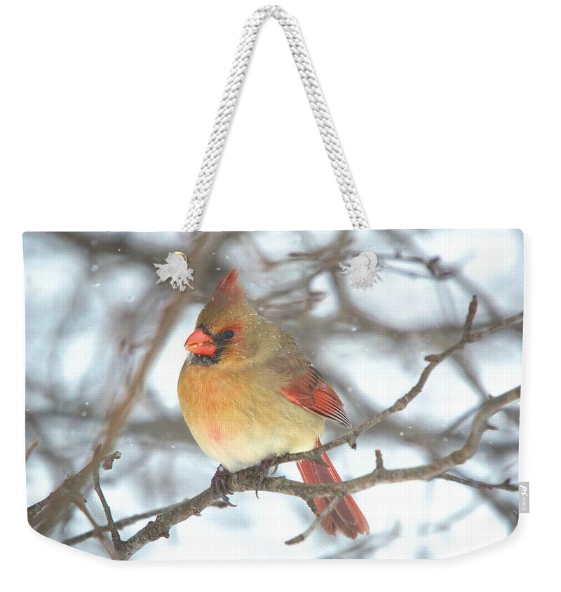 Winter Weekender Tote Bag featuring the photograph Riding the storm out by Bonfire Photography