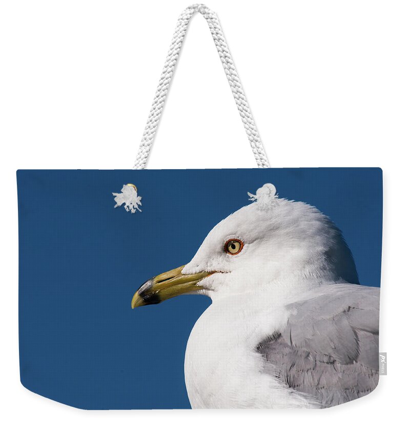 Jaques Marquette Weekender Tote Bag featuring the photograph Ring-billed Gull Portrait by Onyonet Photo studios