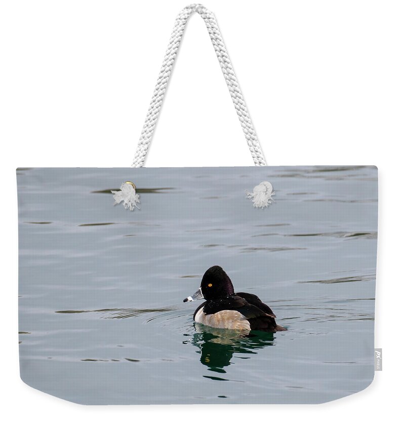 Gary Hall Weekender Tote Bag featuring the photograph Ring Necked Duck by Gary Hall